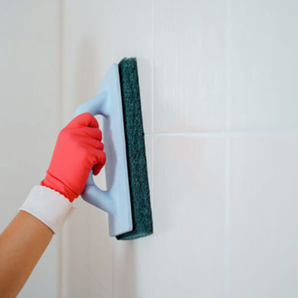 Բռնիչ սպունգ սկրաբի 120542 PadBoy